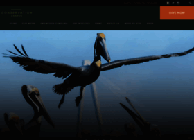 Coastalconservationleague.org thumbnail