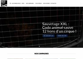 Code-animal.com thumbnail