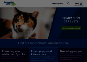 Companioncare.co.uk thumbnail