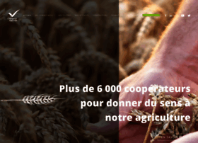 Comptoir-agricole.fr thumbnail