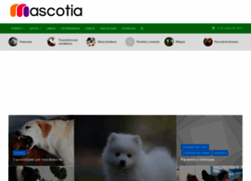 Consultas.mascotia.com thumbnail