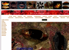 Coquillesneo-caledoniennes.com thumbnail