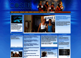 Cosee.net thumbnail