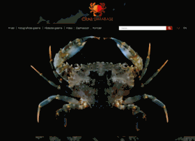 Crabdatabase.info thumbnail
