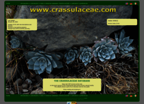 Crassulaceae.com thumbnail