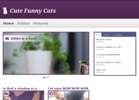 Cutefunnycats.com thumbnail