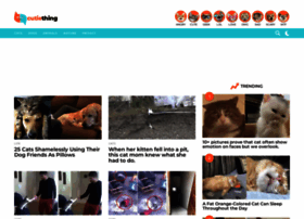 Cutiething.com thumbnail