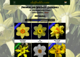 Daffodils.com thumbnail