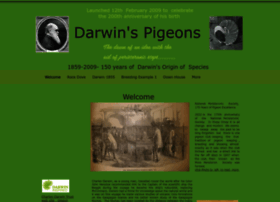 Darwinspigeons.com thumbnail