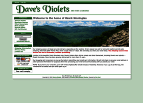 Davesviolets.com thumbnail