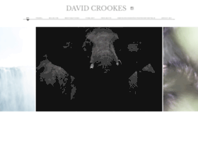 Davidcrookes.com thumbnail