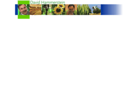 Davidhammerstein.org thumbnail