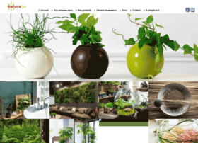 Decoration-vegetale.com thumbnail