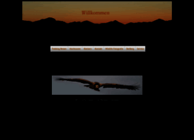 Derberg.com thumbnail