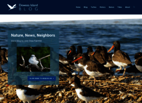 Deweesislandblog.com thumbnail