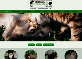 Dierenasielgoes.nl thumbnail