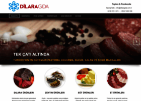 Dilaragida.com.tr thumbnail