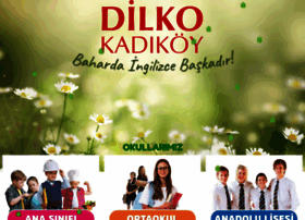 Dilkokadikoy.com thumbnail