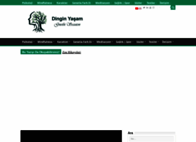 Dinginyasam.com thumbnail