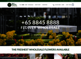 Directwholesaleflower.com thumbnail