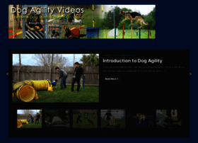 Dogagilityvideos.com thumbnail
