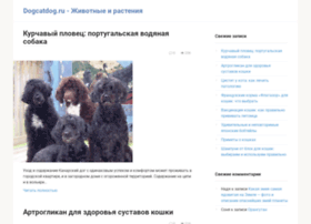 Dogcatdog.ru thumbnail