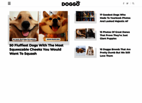 Doggo.com thumbnail