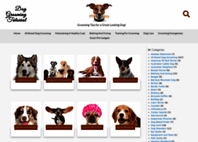 Doggroomingtutorial.com thumbnail