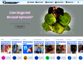 Dogleashpro.com thumbnail