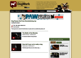 Dogwork.com thumbnail