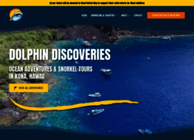 Dolphindiscoveries.com thumbnail