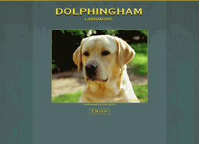 Dolphingham.com thumbnail