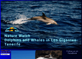 Dolphinwhalewatch.com thumbnail