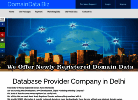 Domaindata.biz thumbnail