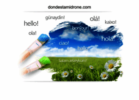Dondestamidrone.com thumbnail