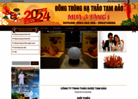 Dongtrunghathaotamdao.com thumbnail