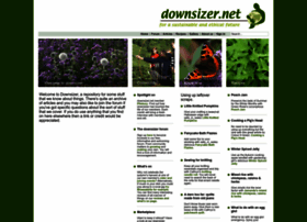 Downsizer.net thumbnail