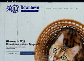 Downtownanimalhospital.ca thumbnail Downtownanimalhospital.ca thumbnail