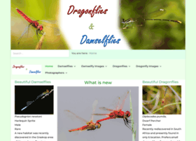 Dragonflies.co.za thumbnail
