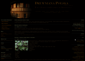 Drewnianapolska.eu thumbnail
