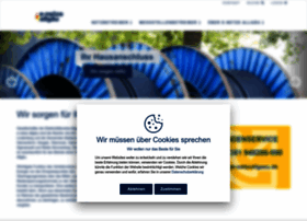 E-netzeallgaeu.de thumbnail