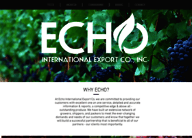 Echointernational.us thumbnail