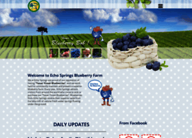 Echospringsblueberryfarm.com thumbnail