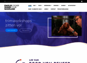 Ecscn.nl thumbnail