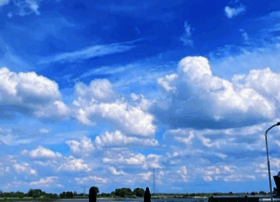 Eetcafederoskam.nl thumbnail
