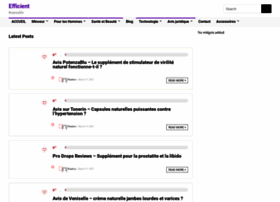 Efficientandresponsible.org thumbnail