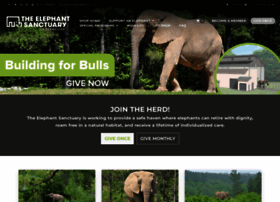 Elephants.donorshops.com thumbnail