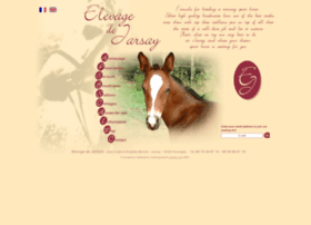 Elevage-chevaux-jarsay.com thumbnail