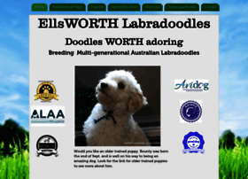Ellsworthlabradoodles.com thumbnail