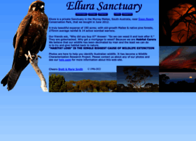 Ellura.info thumbnail